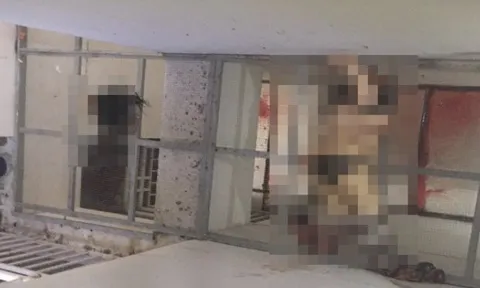 Ráo riết điều tra vụ thi thể người phụ nữ lìa đầu tại chung cư